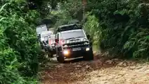  Jualan Tank 300 Diesel Laris, GWM Bakal Hadirkan Produk Diesel Lagi Di Indonesia