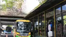 Ada Rute Baru Transjogja, Masih Gratis Nih