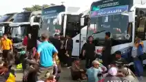  MTI Sarankan Pemprov Jakarta Perlu Perbanyak Bus Mudik Gratis