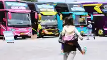  Ini Cara Daftar Mudik Gratis Naik Bus Bersama Alfamart