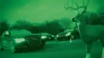 Teknologi Militer Night Vision Akan Segera Jadi Bagian dari Fitur Otomotif