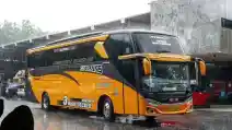 Bisnis Perusahaan Otobus Semakin Menjanjikan?