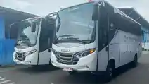  Bus Listrik Makin Marak, Isuzu Indonesia Berminat? 