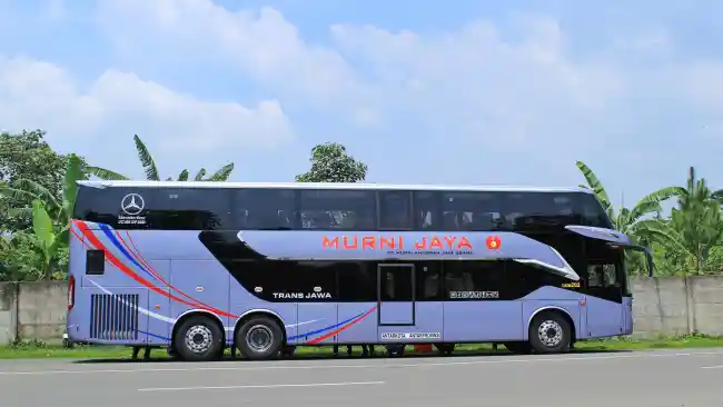 Bus - Bus Tingkat Murni Jaya Layani Penumpang Reguler, Segini Harga Tiketnya