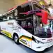 Ini Jumlah Bus di Seluruh Indonesia Bulan Juni 2026